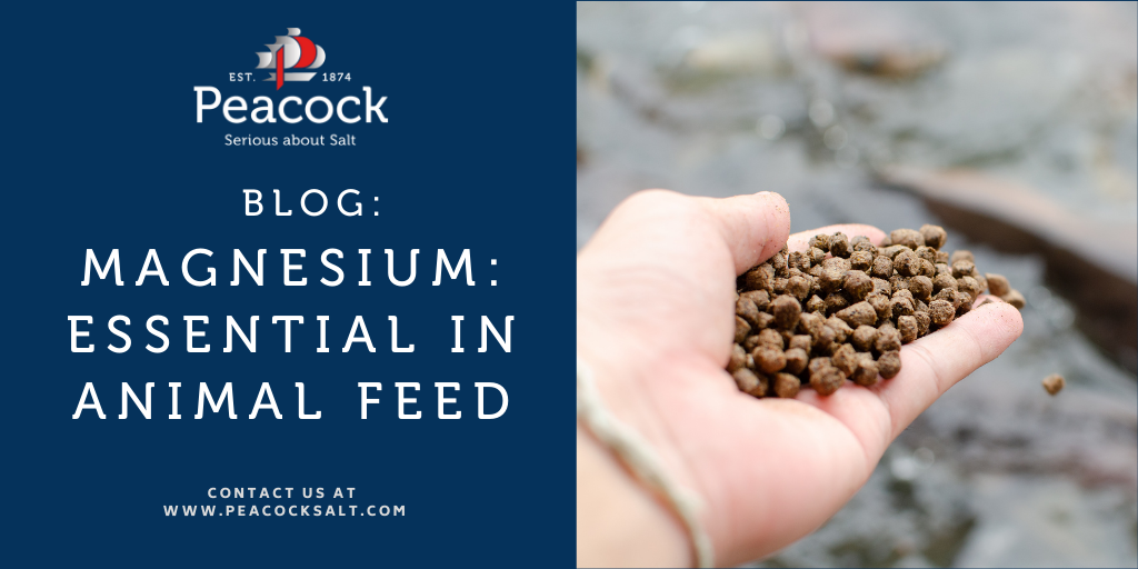 Magnesium: Essential in Animal Feed