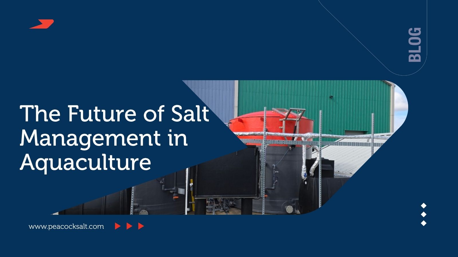 The Future of Salt Management in Aquaculture