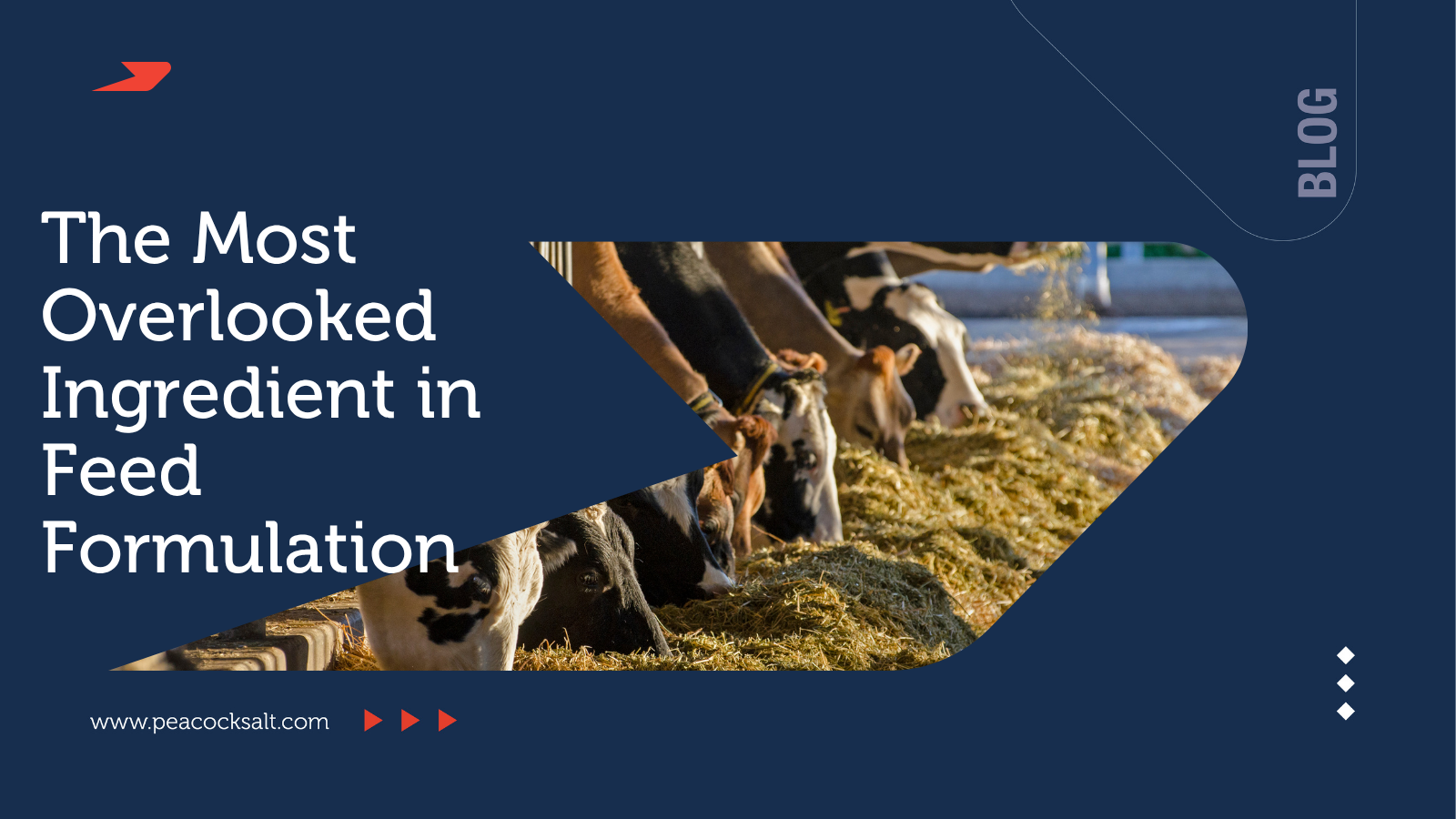 The Most Overlooked Ingredient in Feed Formulation