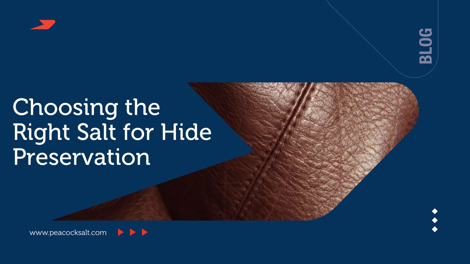 Choosing the Right Salt for Hide Preservation: What Leather Producers Need to Know