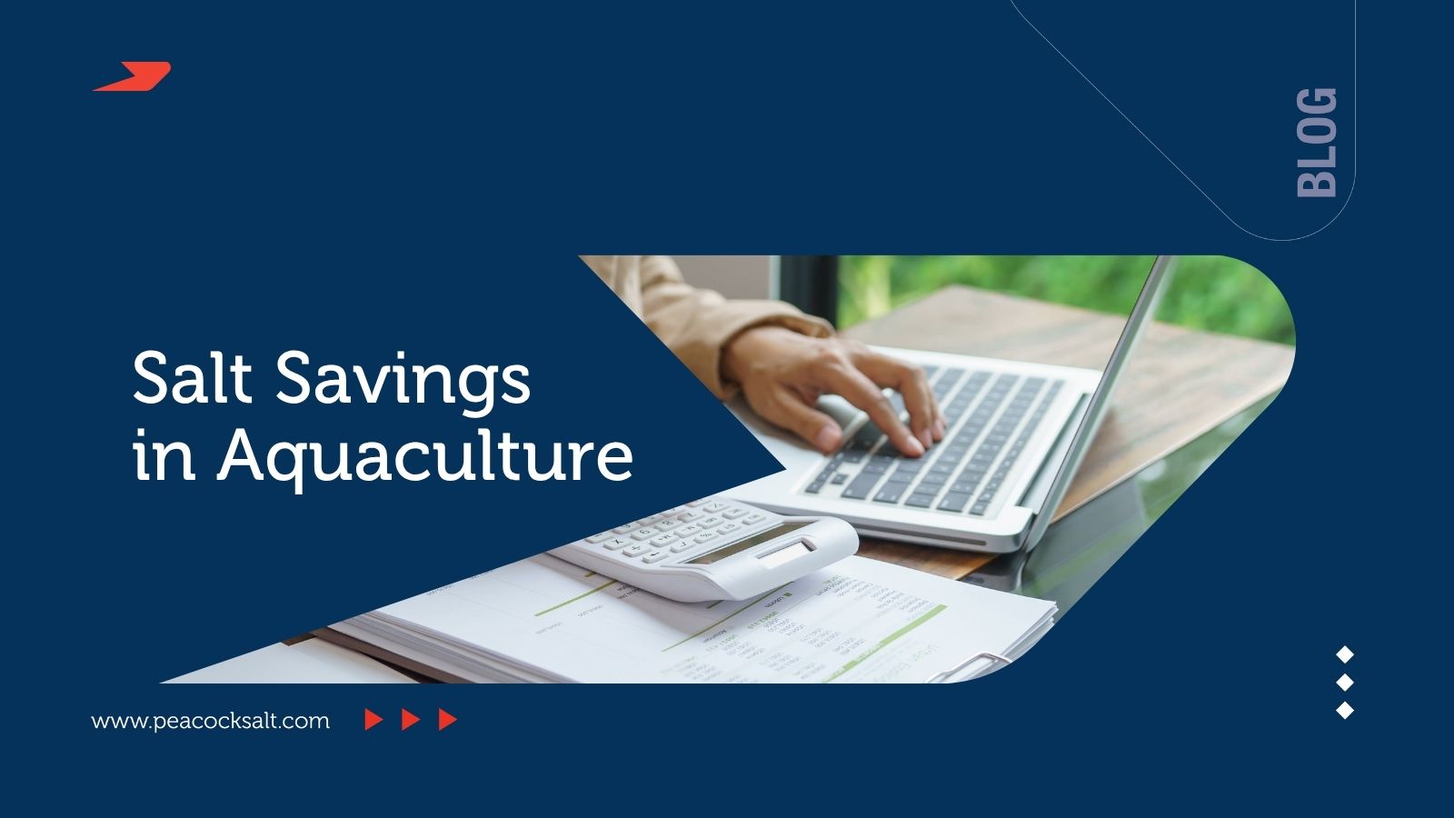 Salt Savings in Aquaculture: How Fish Farms Can Reduce Salt Costs and Improve Efficiency