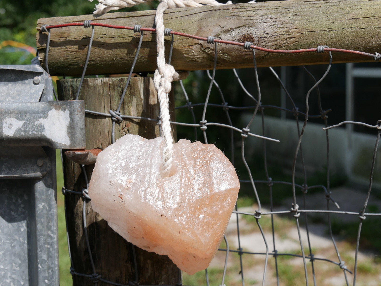 Himalayan Salt Animal Lick Cattle Lump